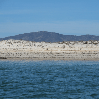 image of a beach